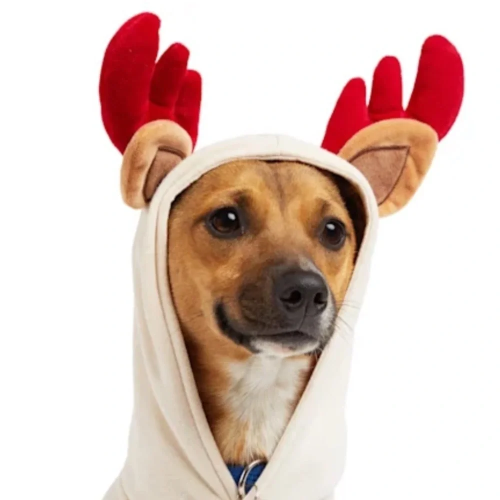 Petco nwt reindeer